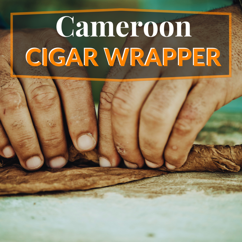 Cameroon Cigar Wrappers