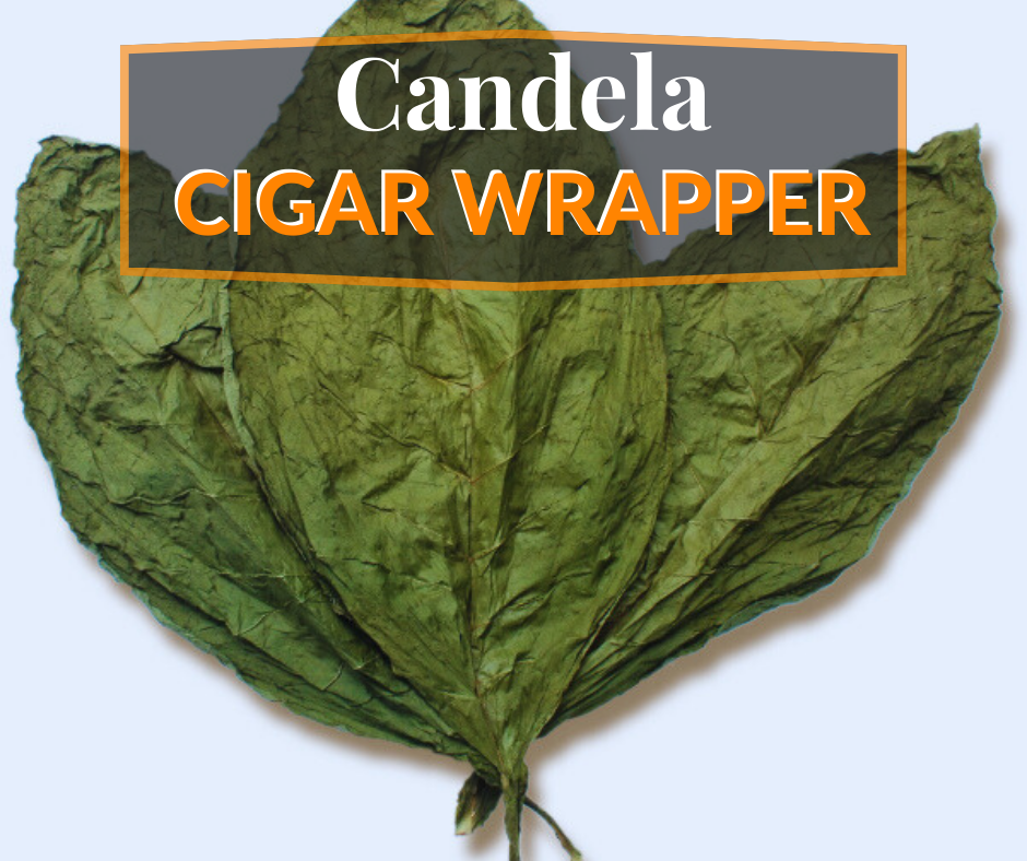 Candela wrapper
