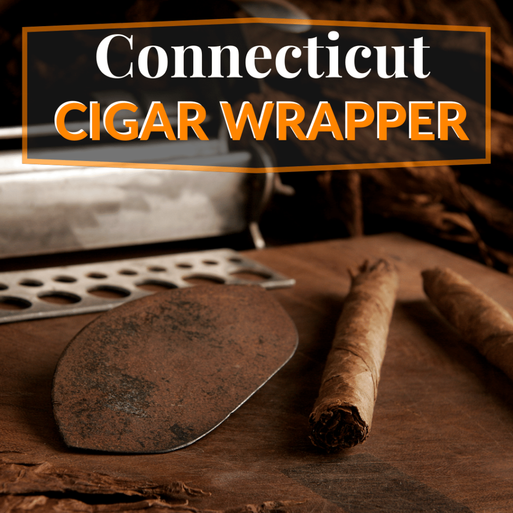 Connecticut Cigar Wrappers