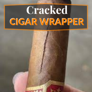 cracked cigar wrapper