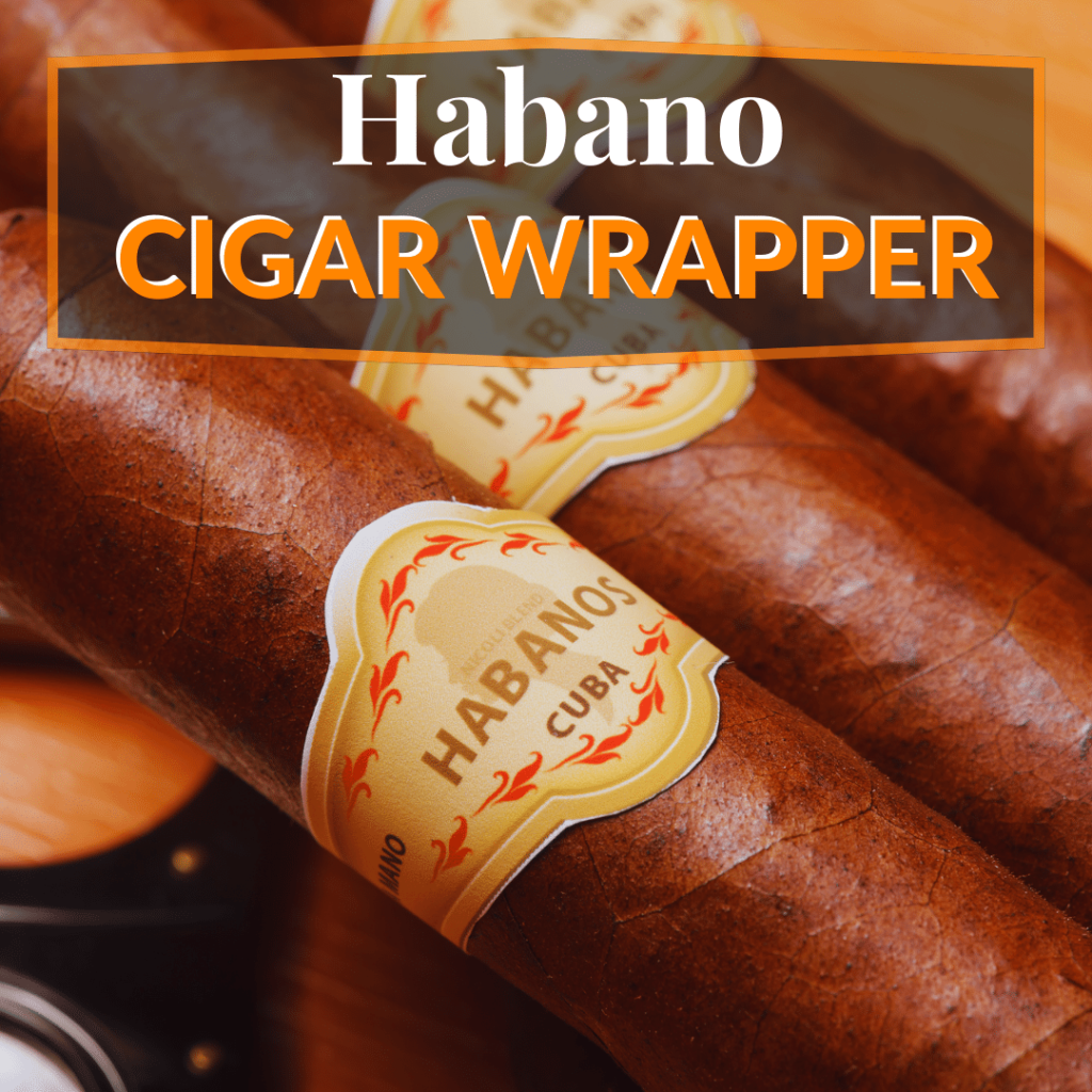 Habano Cigar Wrappers