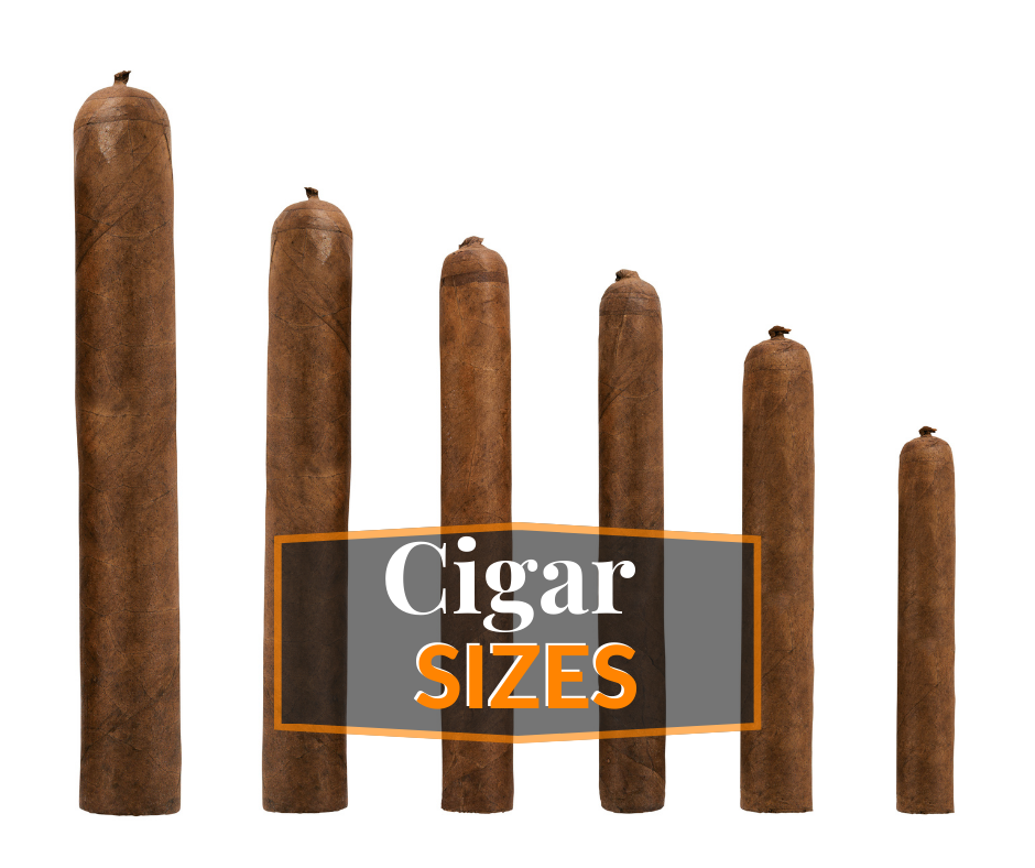 cigar sizes