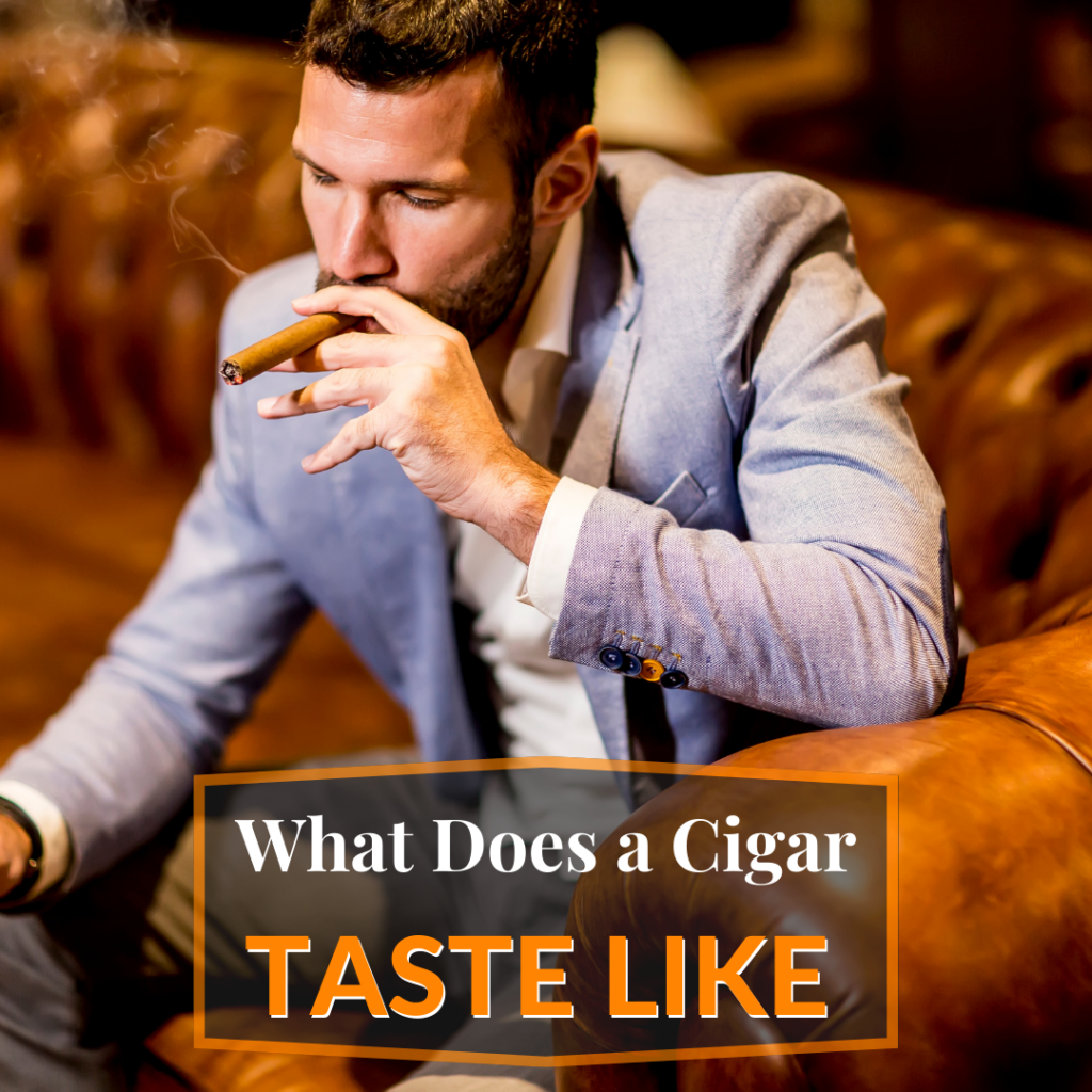 what does a cigar taste like