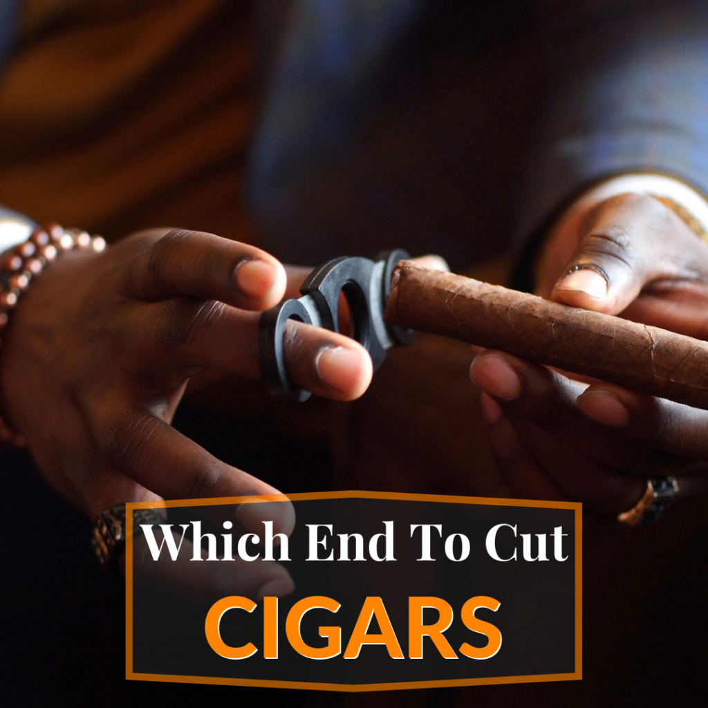 Which End to Cut on Cigars